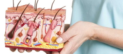 Дерматология