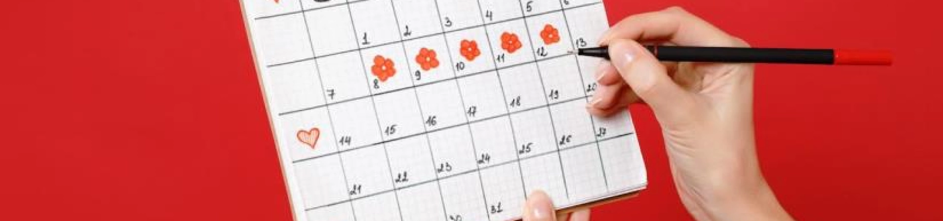 Что нужно знать перед посещением гинеколога?