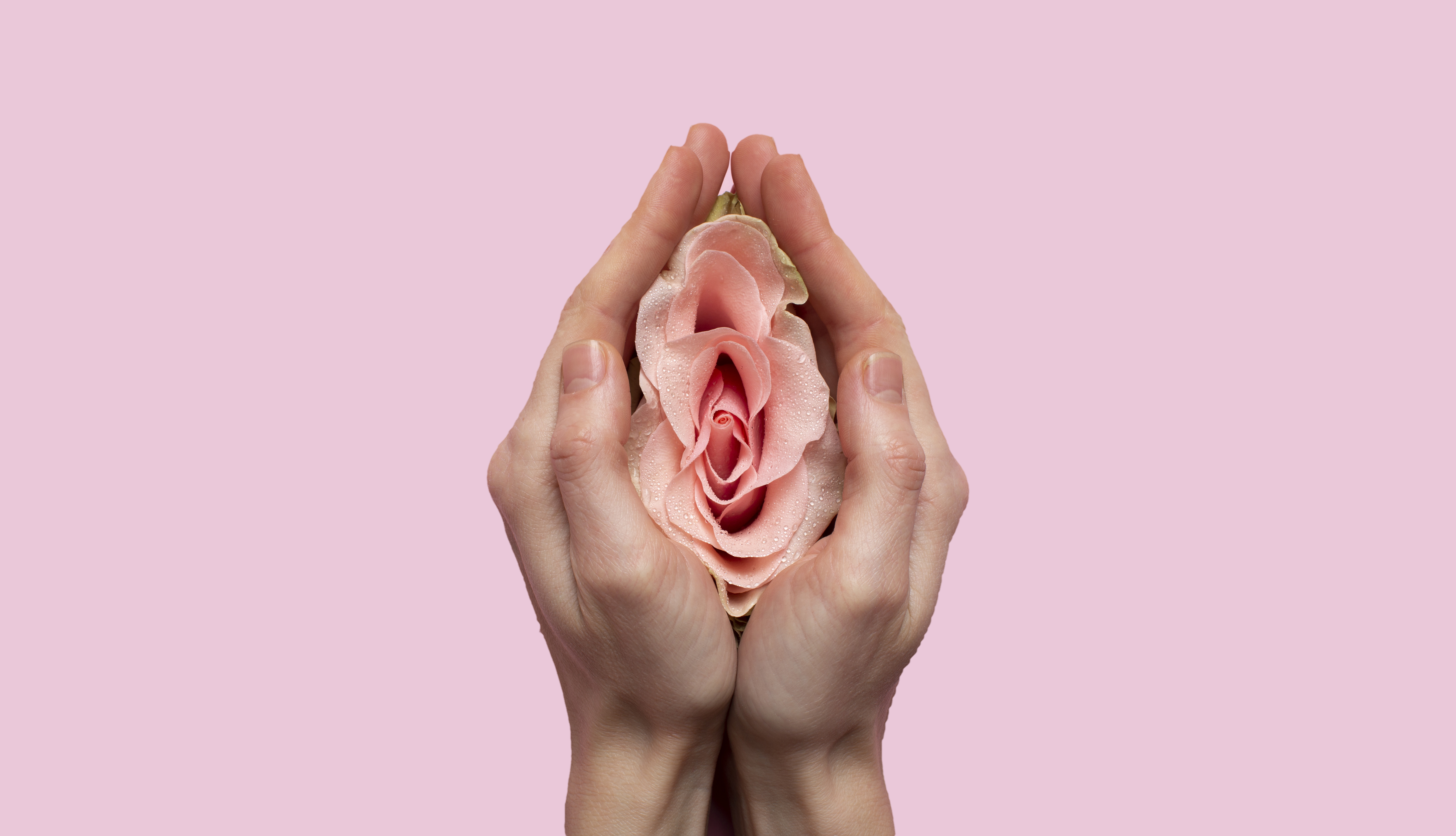 Пластика половых губ